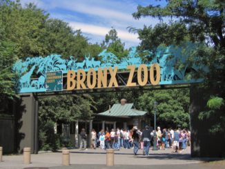The Bronx Zoo entrance where people are queuing for entry