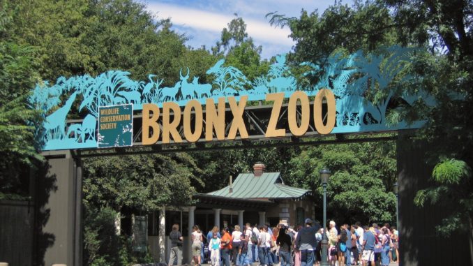 The Bronx Zoo entrance where people are queuing for entry