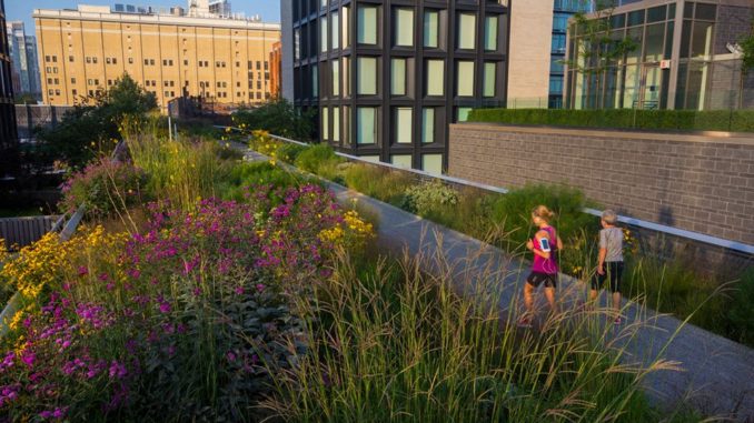 People jogging past flowers on High Line Park in New York City’s Meatpacking District