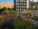 People jogging past flowers on High Line Park in New York City’s Meatpacking District