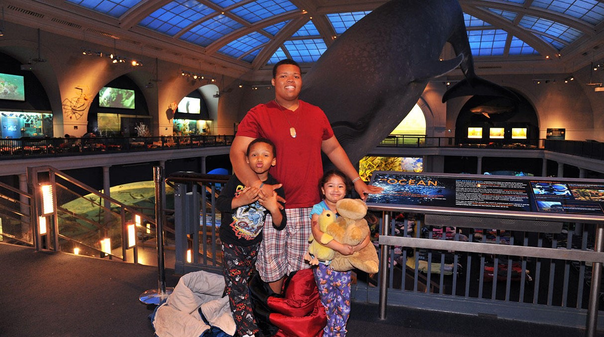 visitors to the american museum of natural science stand in front of whale with sleeping covers