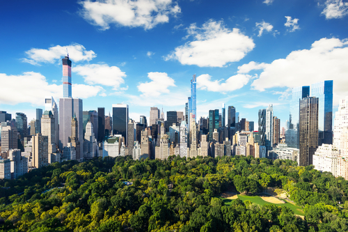 Central park view to manhattan with park at sunny day - amazing birds view