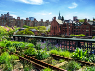 HIgh Line. Urban public park on an historic freight rail line, New York