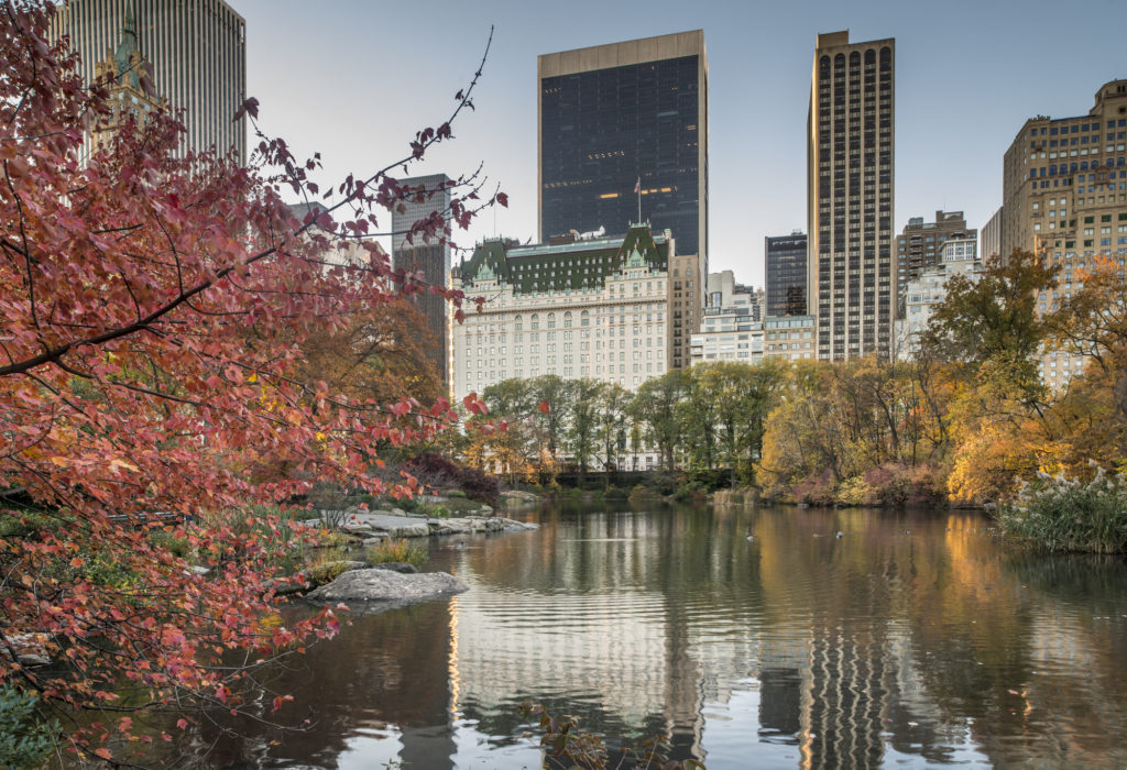 5 Star Hotels in New York - 10 of the Best Value Luxury Places to Stay