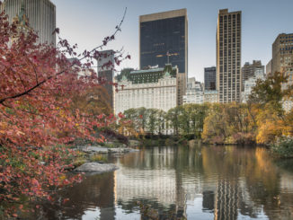 the Hotel Plaza Athenee, one of New York's 5 star hotels, viewed from the pond in central park