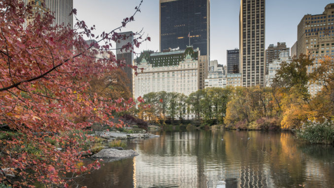 the Hotel Plaza Athenee, one of New York's 5 star hotels, viewed from the pond in central park