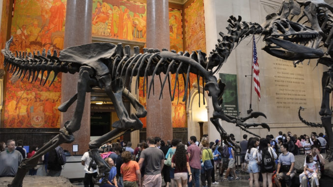 A shot of a crowd gathering underneath a dinosaur exhibit - American Museum of Natural History -