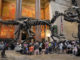 A shot of a crowd gathering underneath a dinosaur exhibit - American Museum of Natural History -