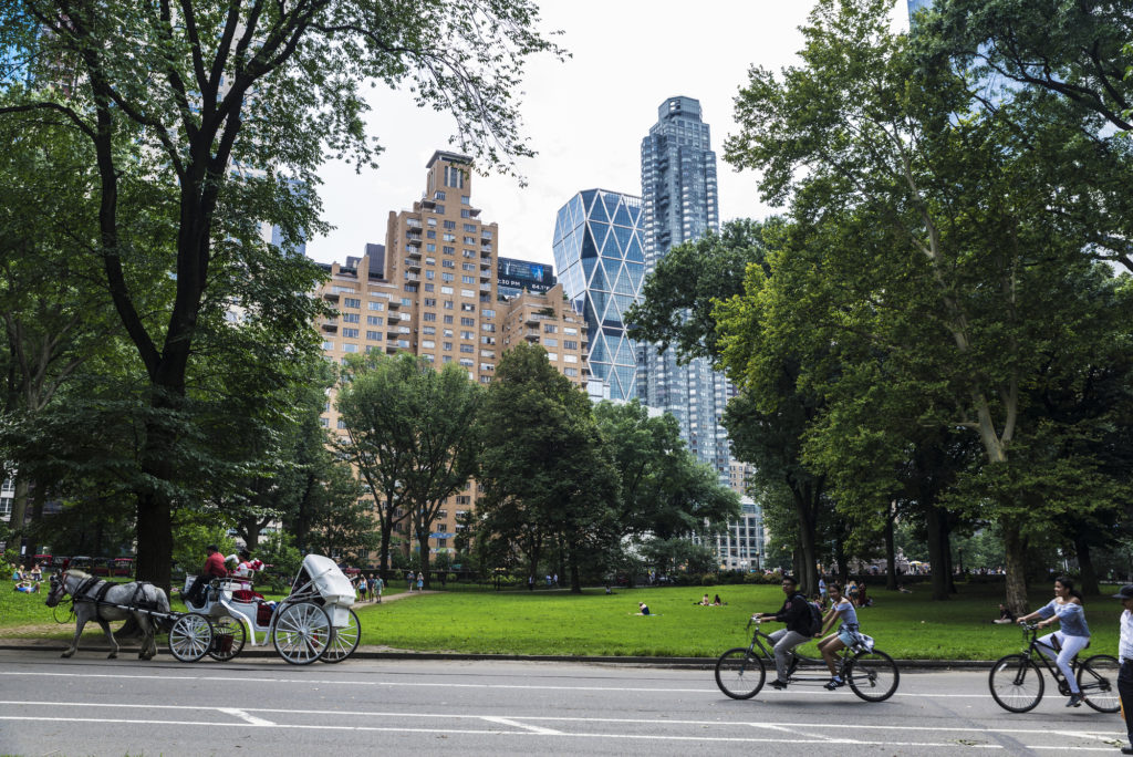 cyclists riding through the beautiful central park - central park bike rental