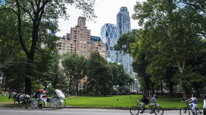 cyclists riding through the beautiful central park - central park bike rental