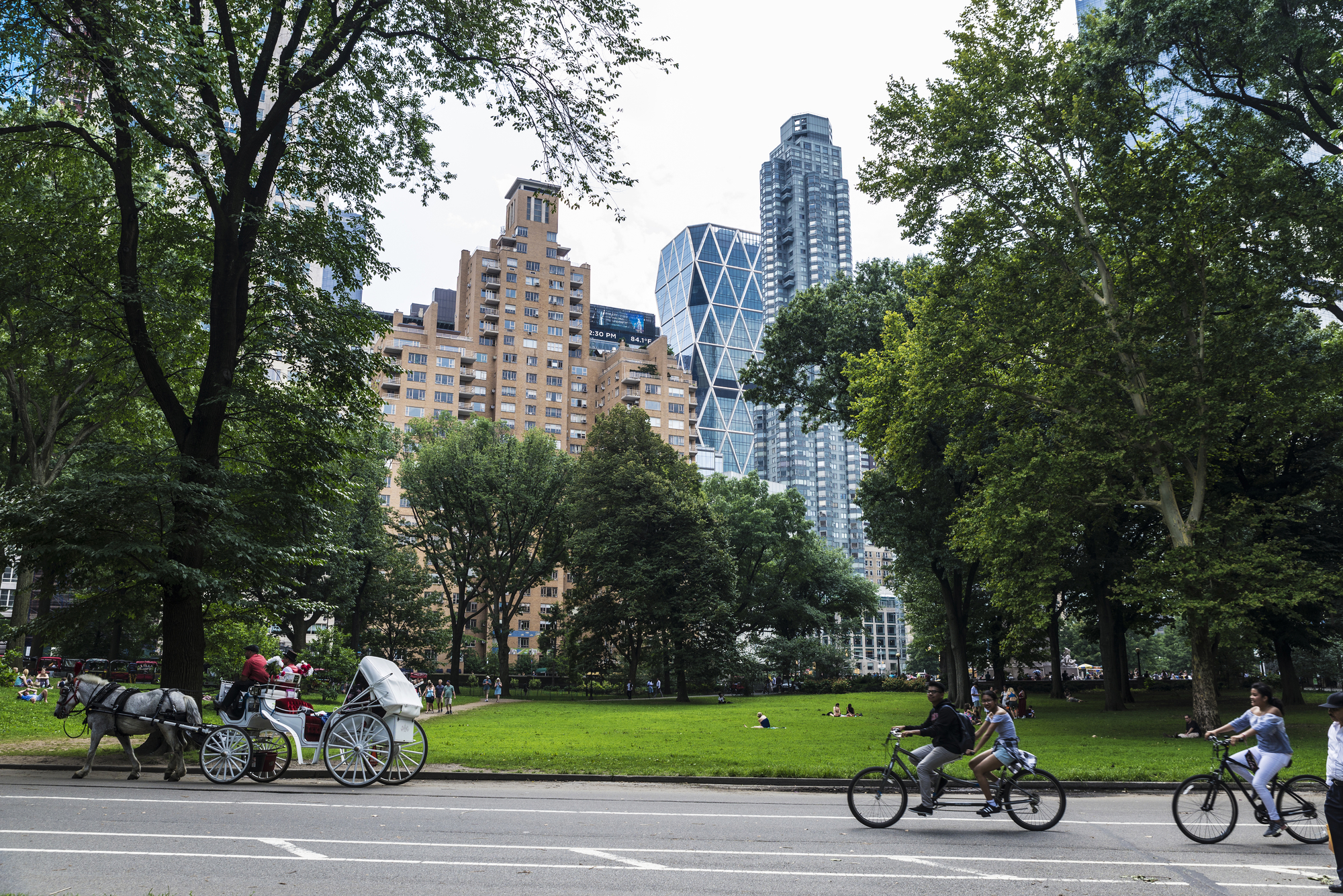 central park electric bike rental