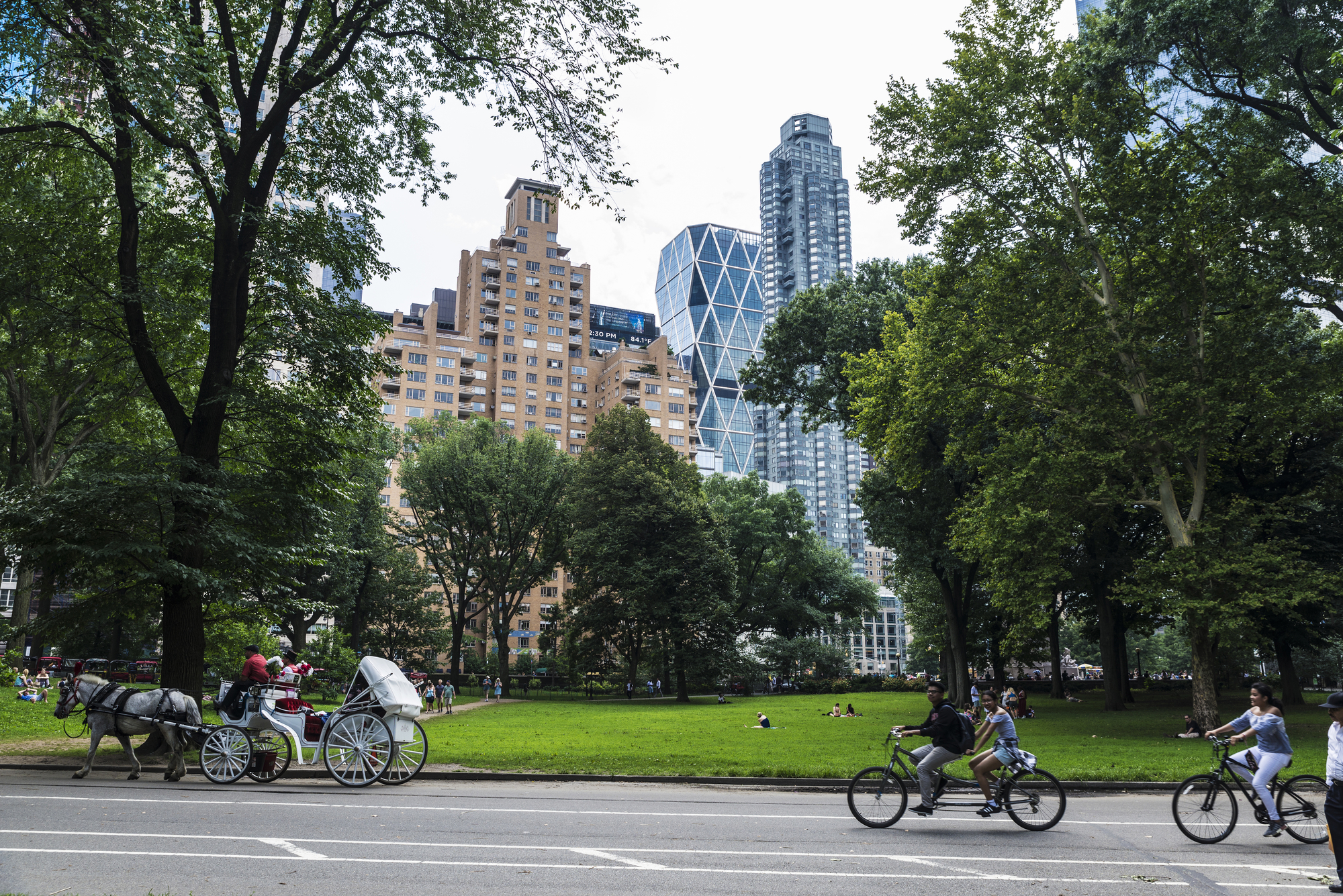 electric bike central park