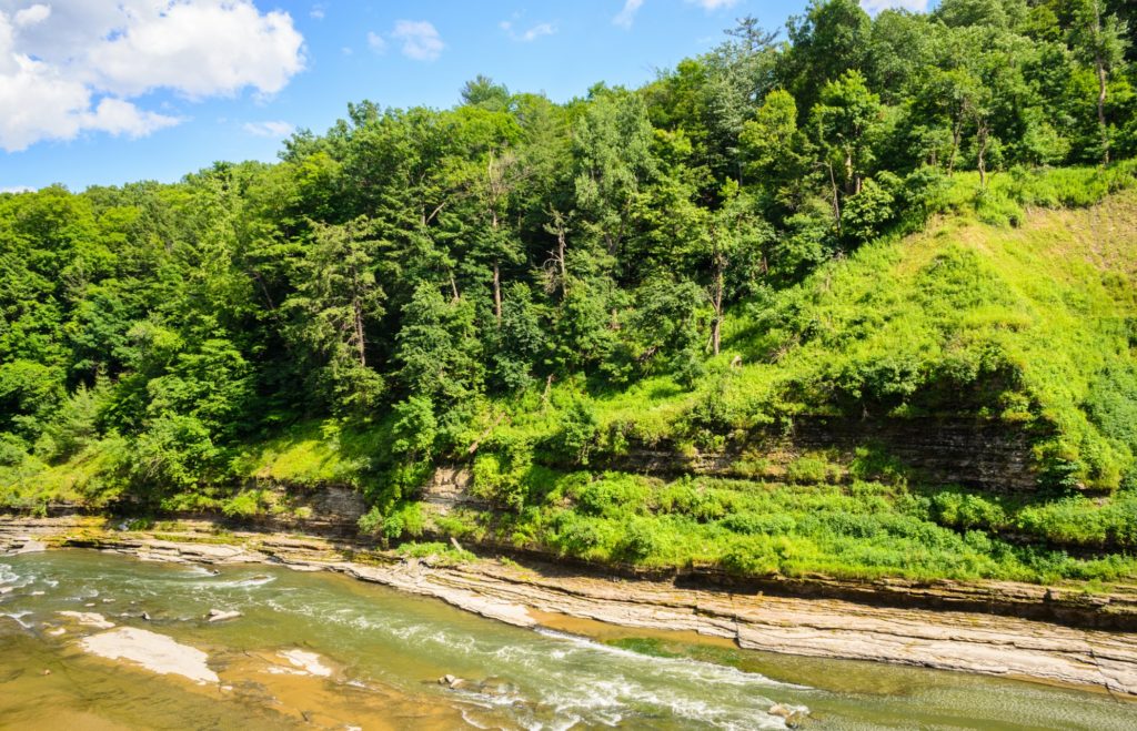 river flows past luscious green trees and foliage - national parks in new york